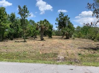 5203 Pierre Ave, Saint Cloud, FL 34773