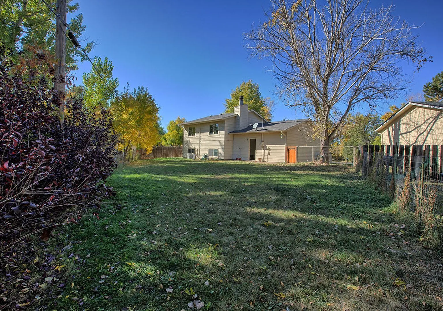 3 bed, 1248 sqft, $2,800 — Photo 3