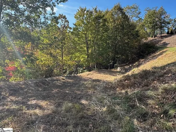 393 Blue Bonnet Trl #Wv-062, Marietta, SC 29661