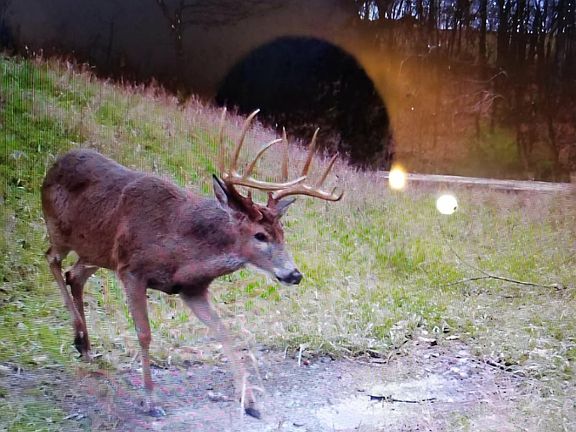 4th image of 0 Dugan Rd