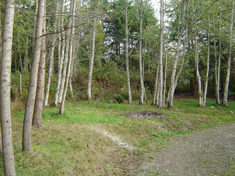 3404 Best Rd — Photo 9