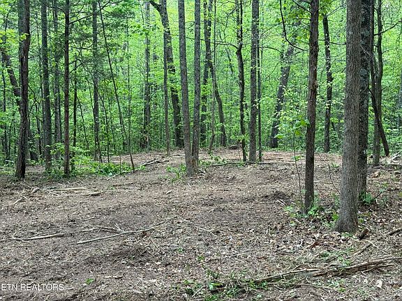 4th image of 425 Smokey Rd