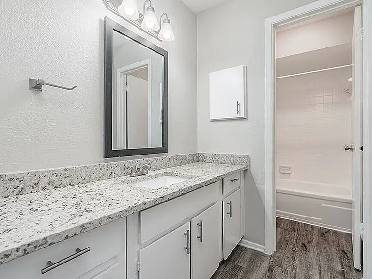 C2 - 2BD, 2BA - 1350SF - Guest Bathroom