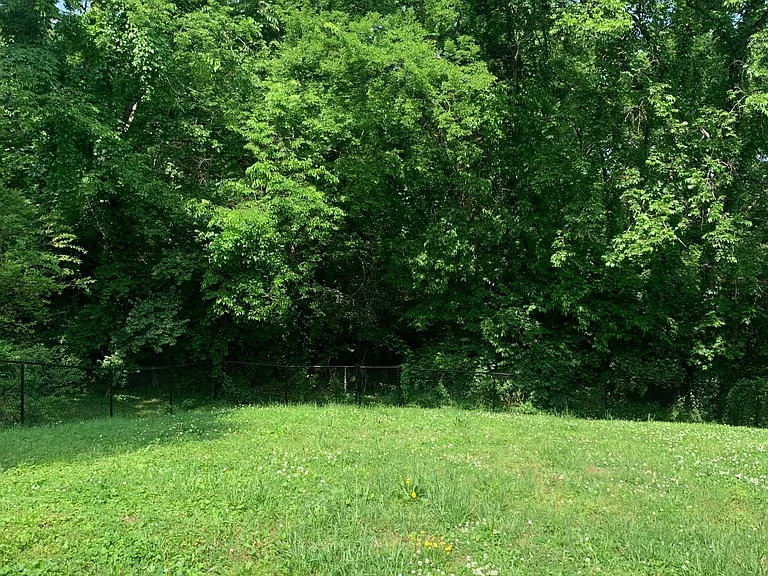 2818 Jones Ave — Photo 15