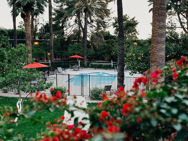 Oasis in the City — Photo 1