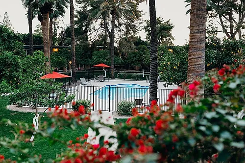 Oasis in the City Photo 1