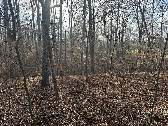 5th image of 0 Arnold Thomas Rd Lot 4