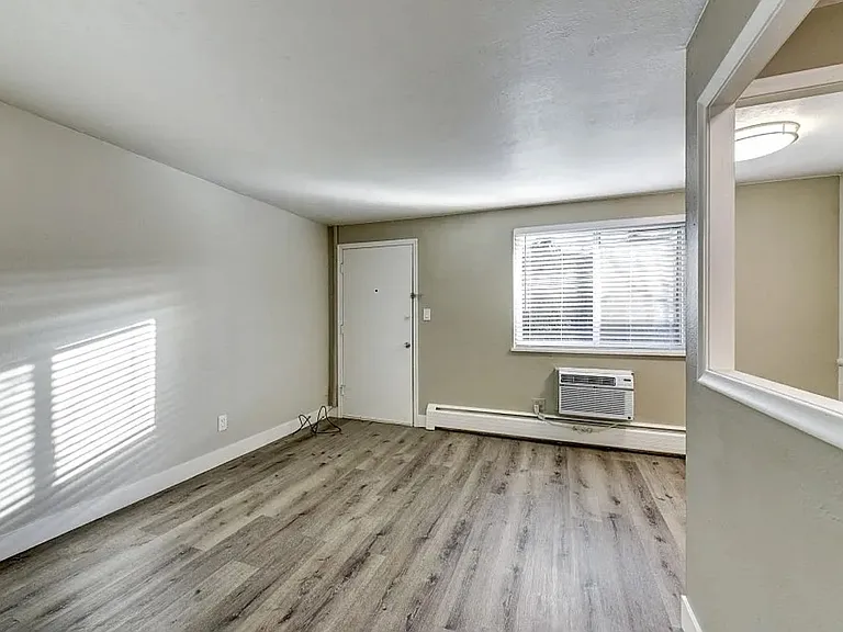 1137 Columbine Street — Photo 6