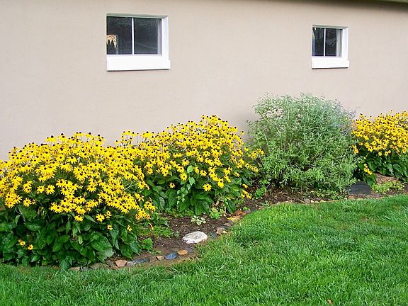 Mature perennial gardens line the garage and rear of yard