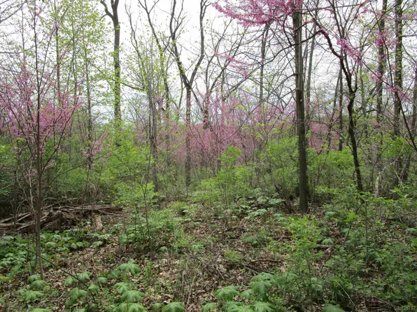 11000 Killarney Hwy, Brooklyn, MI 49230