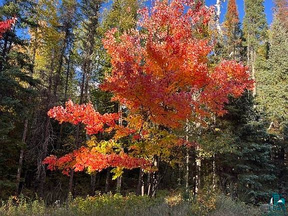 2nd image of TBD S Loon Lake Rd