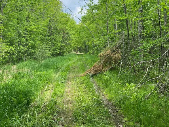 Zimmerman Rd, Willow River, MN 55795