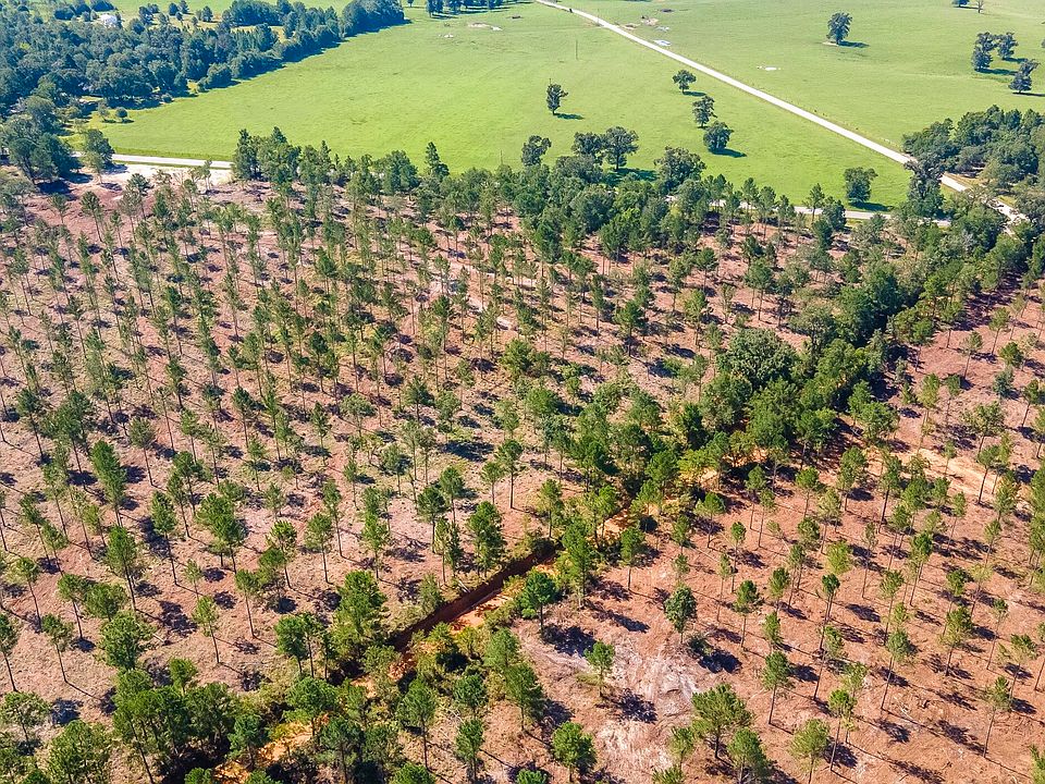 2nd image of Shadow Lane Camp Rawls Rd