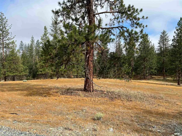 10 Forest Walk, Etna, CA 96027