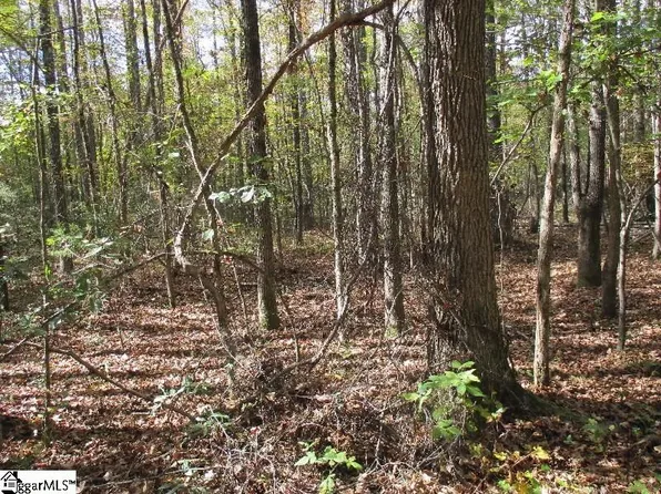 5593 Riverfork Rd, Waterloo, SC 29384