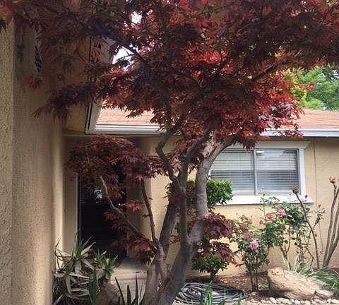 4th image of 4610 N Holt Ave