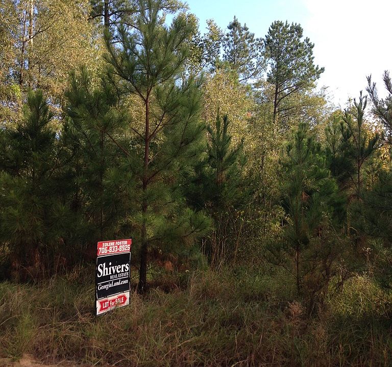 2nd image of 121 Rachel Rd