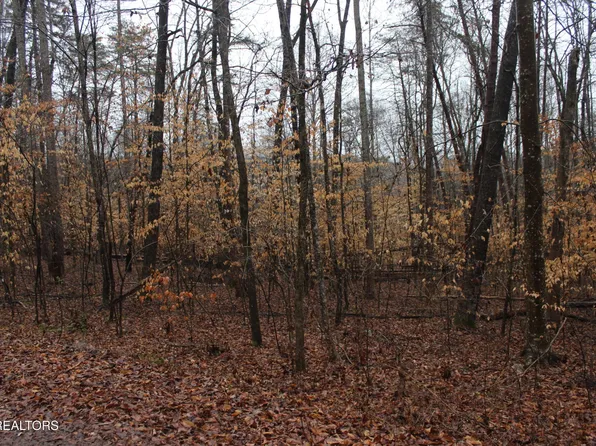 0 Songbird Ln, Maynardville, TN 37807