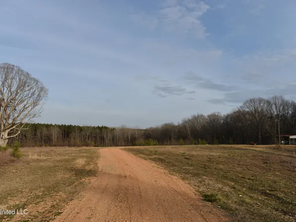 160 Simon Chapel Rd, Como, MS 38619