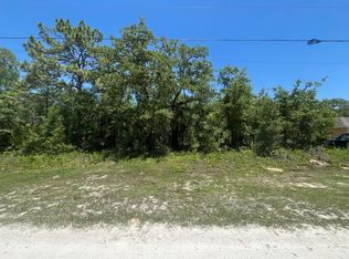 Cliff Swallow Rd, Brooksville, FL 34614