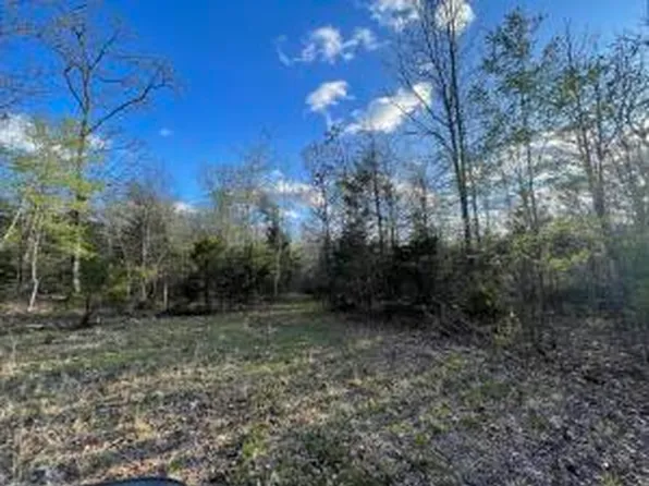 6.9 Acres Hwy #125, Peel, AR 72668