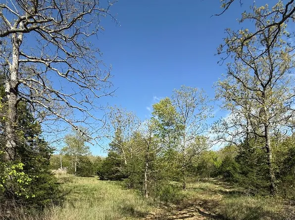 149 N Roanoak Rd, Salem, MO 65560