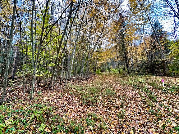 3rd image of 0 Spruce Hill Ln
