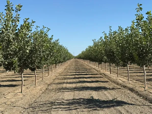 29000 S El Dorado Ave, Coalinga, CA 93210