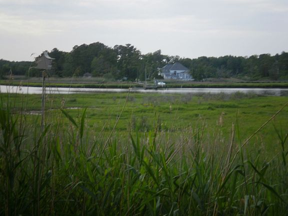 water view
