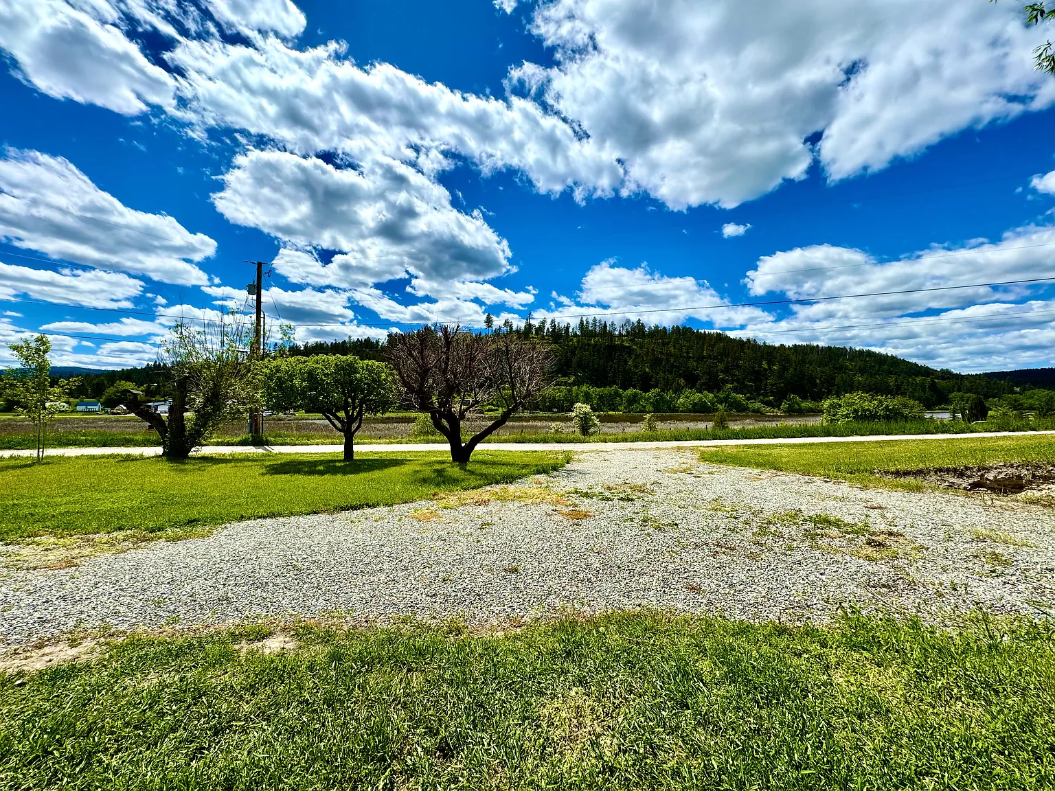 1 bed, 600 sqft, $1,495 — Photo 3