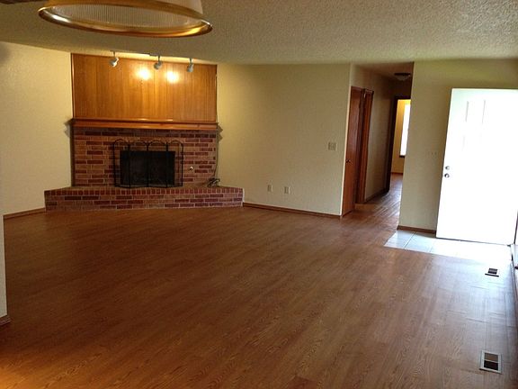 Wood burning fire place