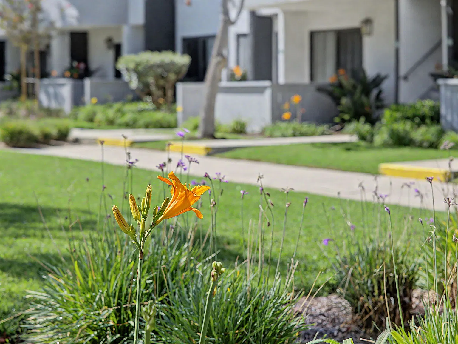 Wallace Court Apartments — Photo 2