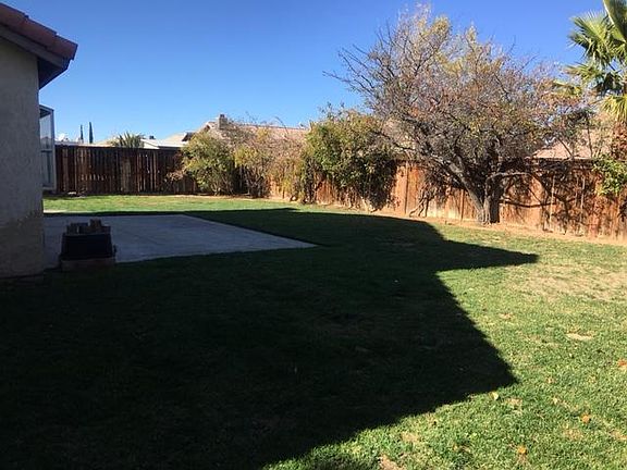 Backyard 2