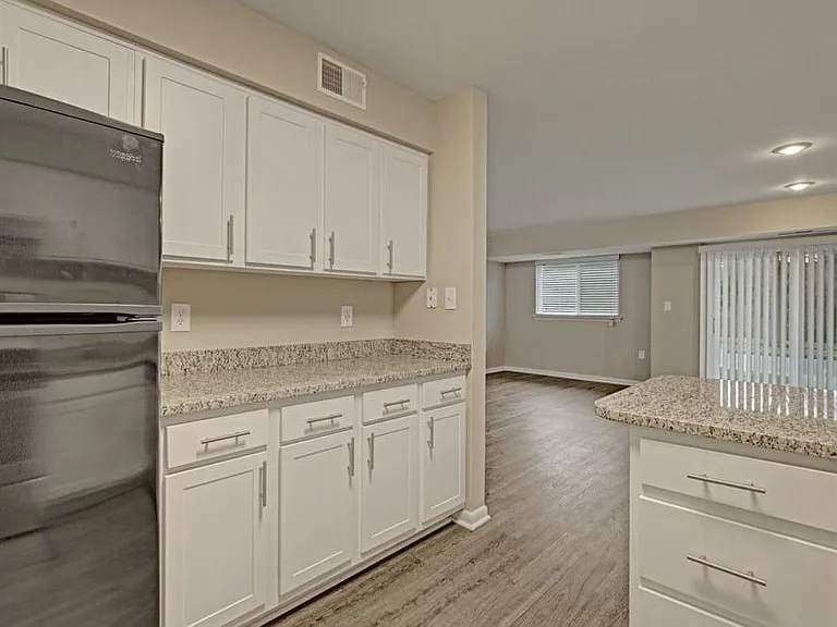 Kitchen-Partially Renovated