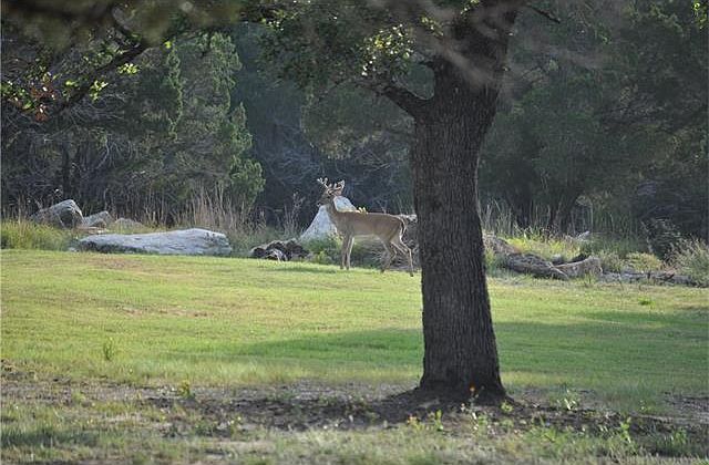 1st image of 4000 Mesquite Trl