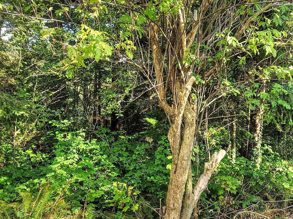 2nd image of 820 NW Highland Cir