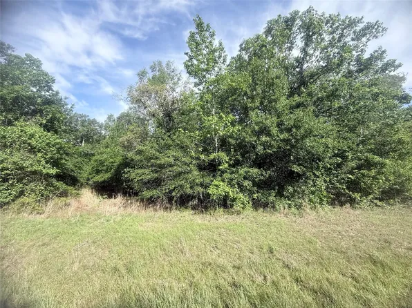 21203 Grant Lake Cir, Cleveland, TX 77328