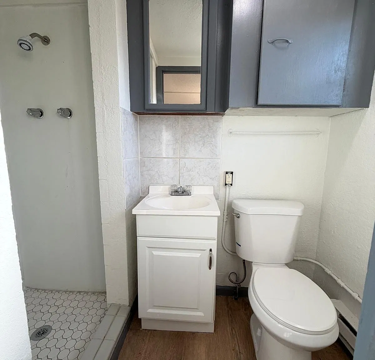 1 bed, 1.0 bath, 450 sqft, $1,350 — Photo 4