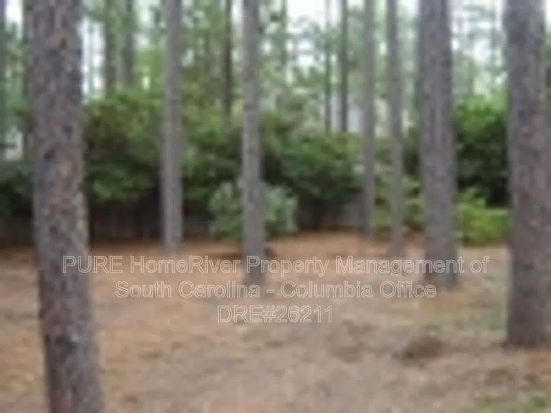 3 bed, 2.0 bath, 1304 sqft, $1,595 — Photo 4