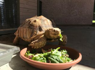 5127 W Dobbins Rd, Laveen, AZ 85339