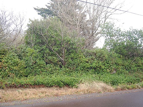 3rd image of 186 Calawah St SW
