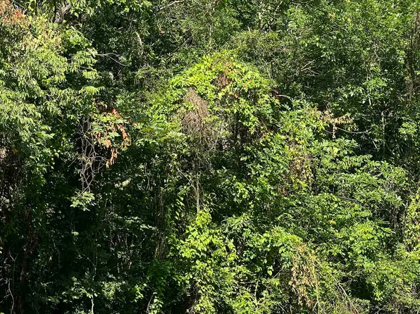 N Highway 271, Talco, TX 75487