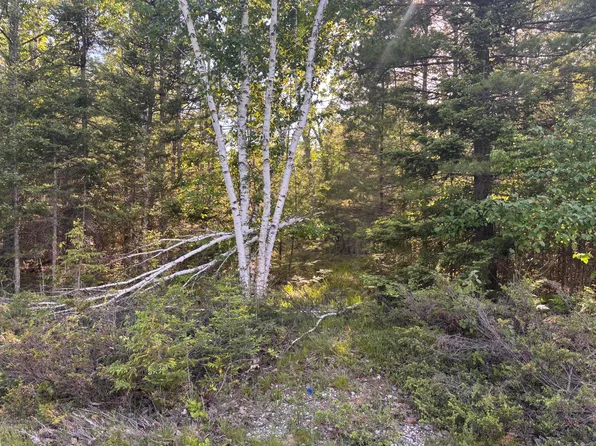 LOT 276 Whitesand Dr, Presque Isle, MI 49777