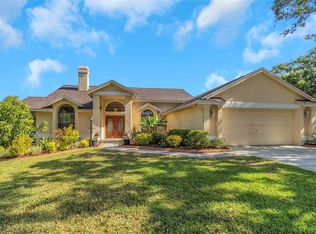 3908 Lithia Ridge Blvd, Valrico, FL 33596