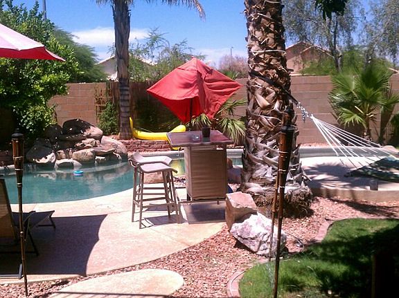 Resort oasis backyard with 8 palm trees!