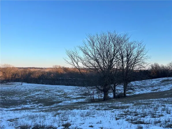 Albany Rd, Orrick, MO 64077