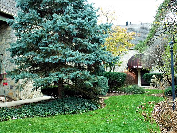 2nd image of 1226 Ashland Ave