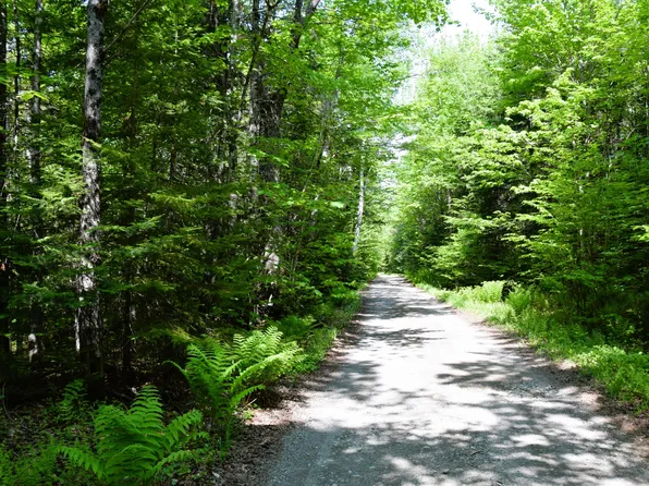 MS03l17.3 Carry Pond Road, Carrying Place Twp, ME 04961