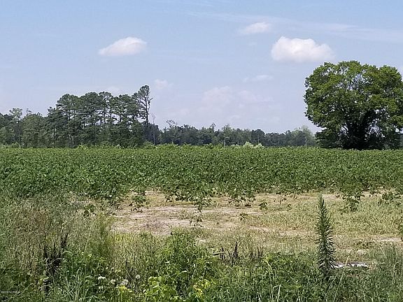 4th image of 2104 B Belgrade Swansboro Road