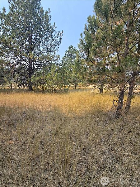 3rd image of 0 TBD Turner Lake Road
